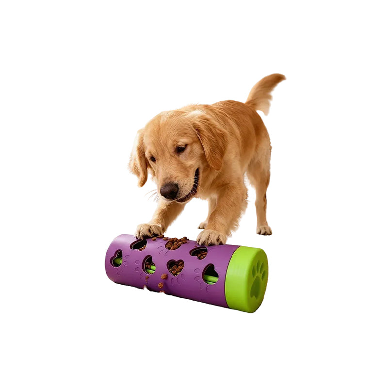 Enrichment Toys