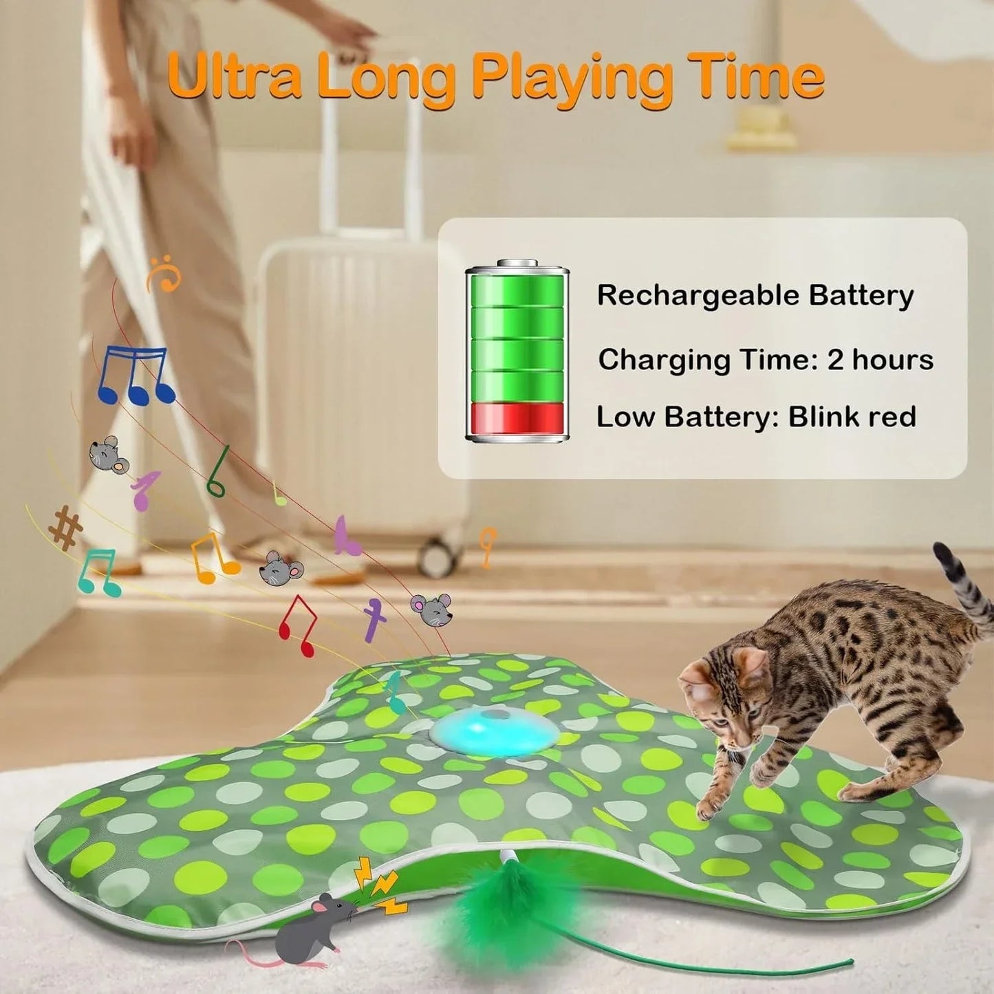 Whisker Hunt Pro – Interactive Cat Enrichment Toy for Mental Stimulation