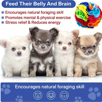 Sniff & Seek Ball – Cat Dog Enrichment Snuffle Ball for Mental Stimulation
