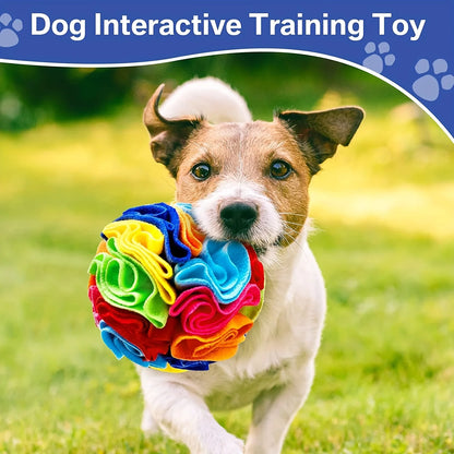 Sniff & Seek Ball – Cat Dog Enrichment Snuffle Ball for Mental Stimulation