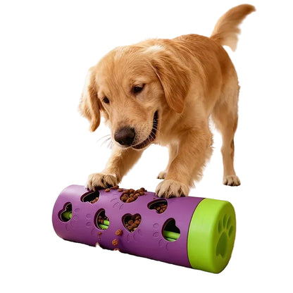 Dog playing with a purple and green treat dispenser toy on a carpeted floor.